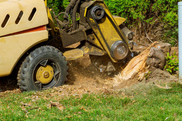 Best Grass Overseeding  in Fords Prairie, WA
